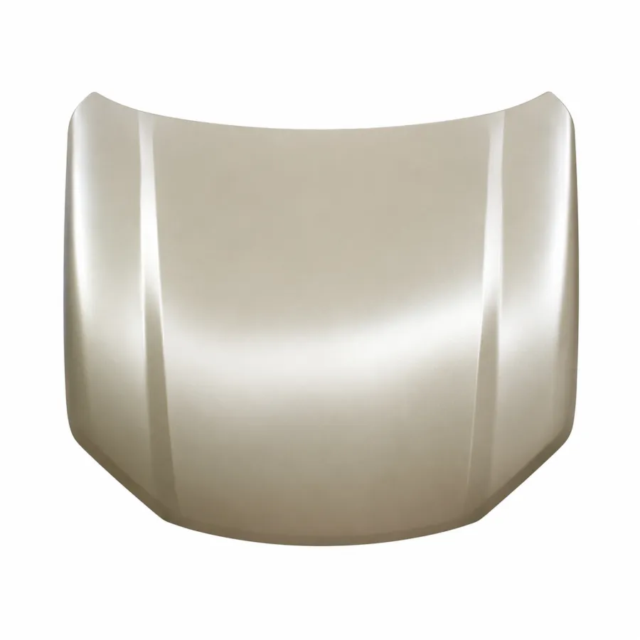 LDV T60 Ute Pro Trailrider Bonnet (7/2017 to 9/2021)